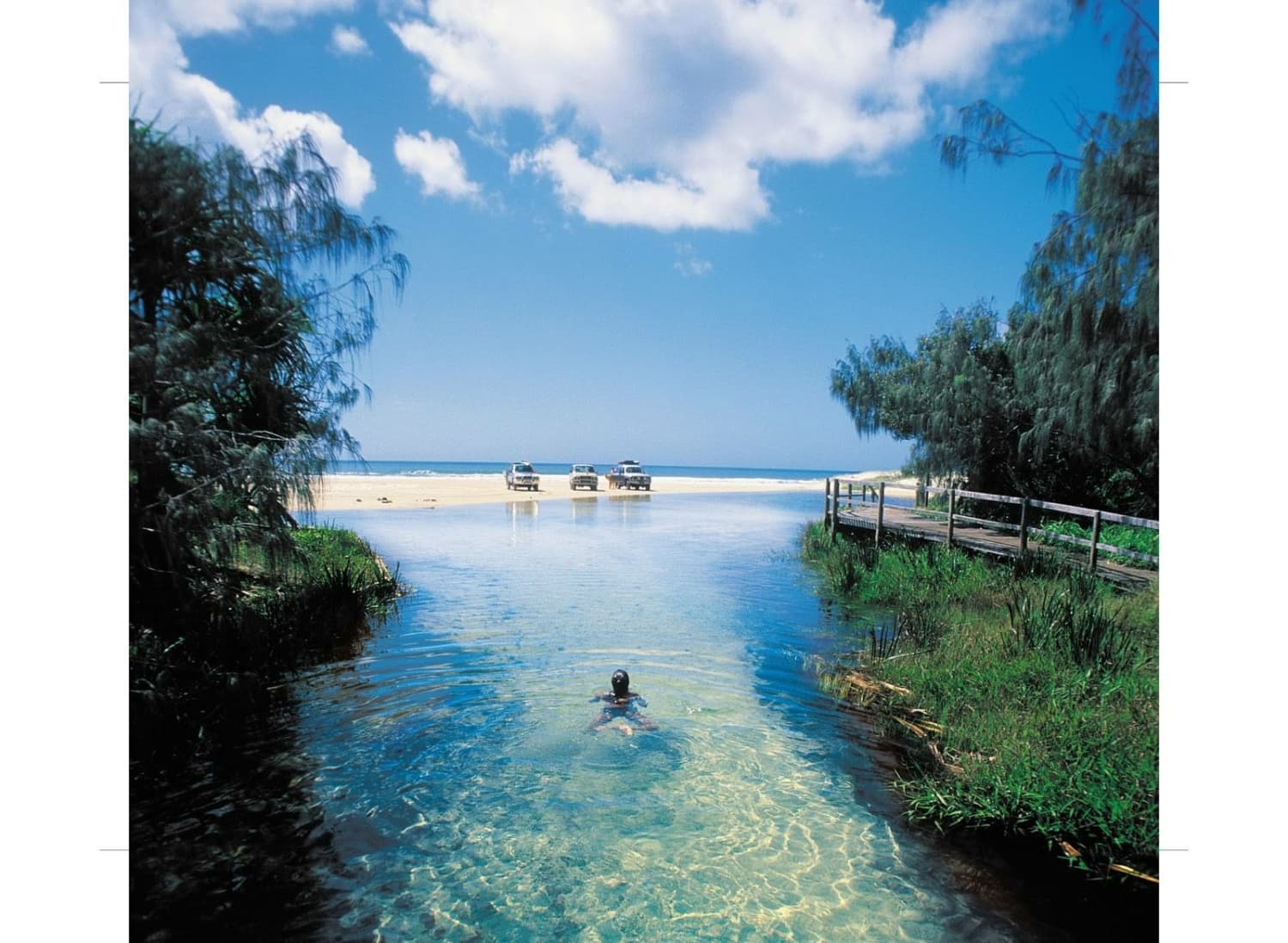 A person swimming in Eli Creek with 3 vehicles and the ocean behind them