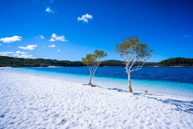 A pristine white sand beach with crystal blue water with two small trees growing on it