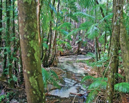 fraser-island-adventure-tours-29