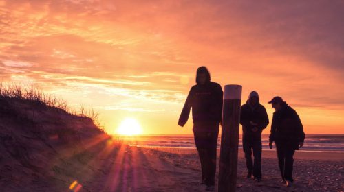 Several people walking away from a beach at sunset