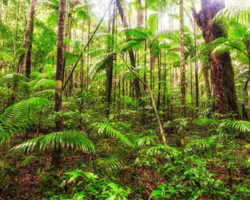 fraser-island-location-24