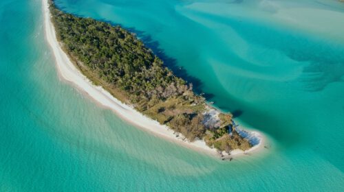 An aerial shot of a small island covered in trees