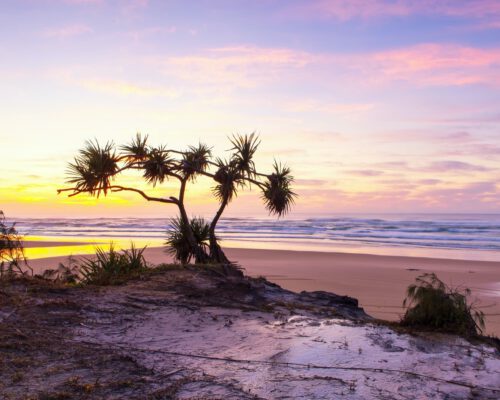 fraser-island-location-47