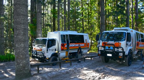 Two tour vehicles parked near a railing