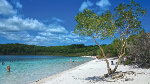 Swimmers at Lake McKenzie
