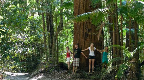 Several people leaning against a huge tree