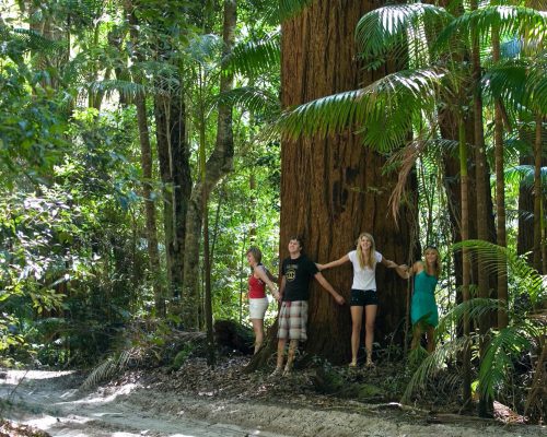 Several people leaning against a huge tree