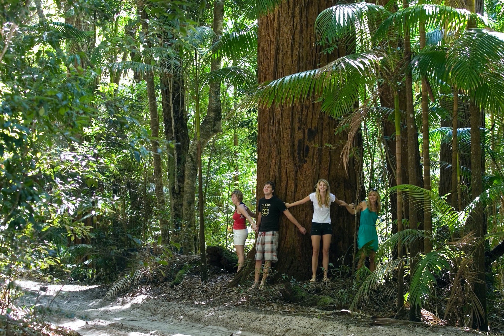 nature tours fraser island