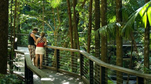 Two people admiring the scenery on a raised walkway