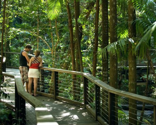 Two people admiring the scenery on a raised walkway