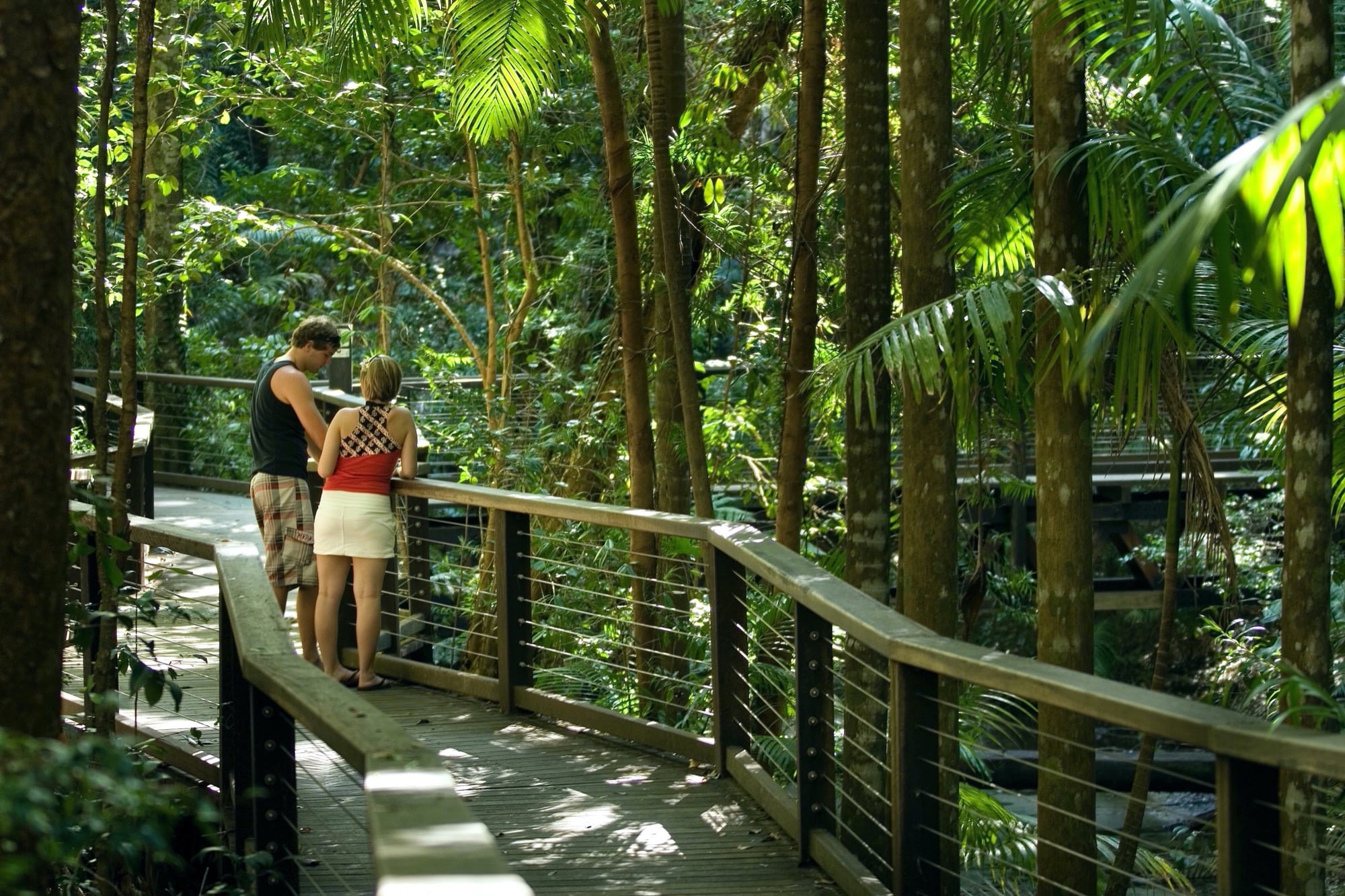 nature tours fraser island