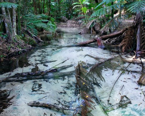 Close up of creek water
