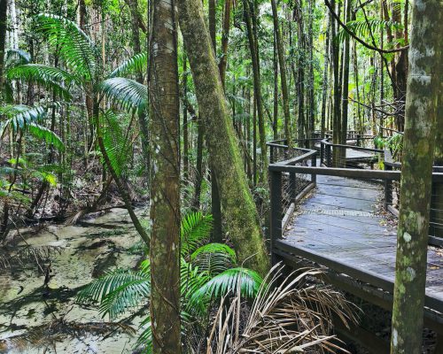Platform walkway next to creek