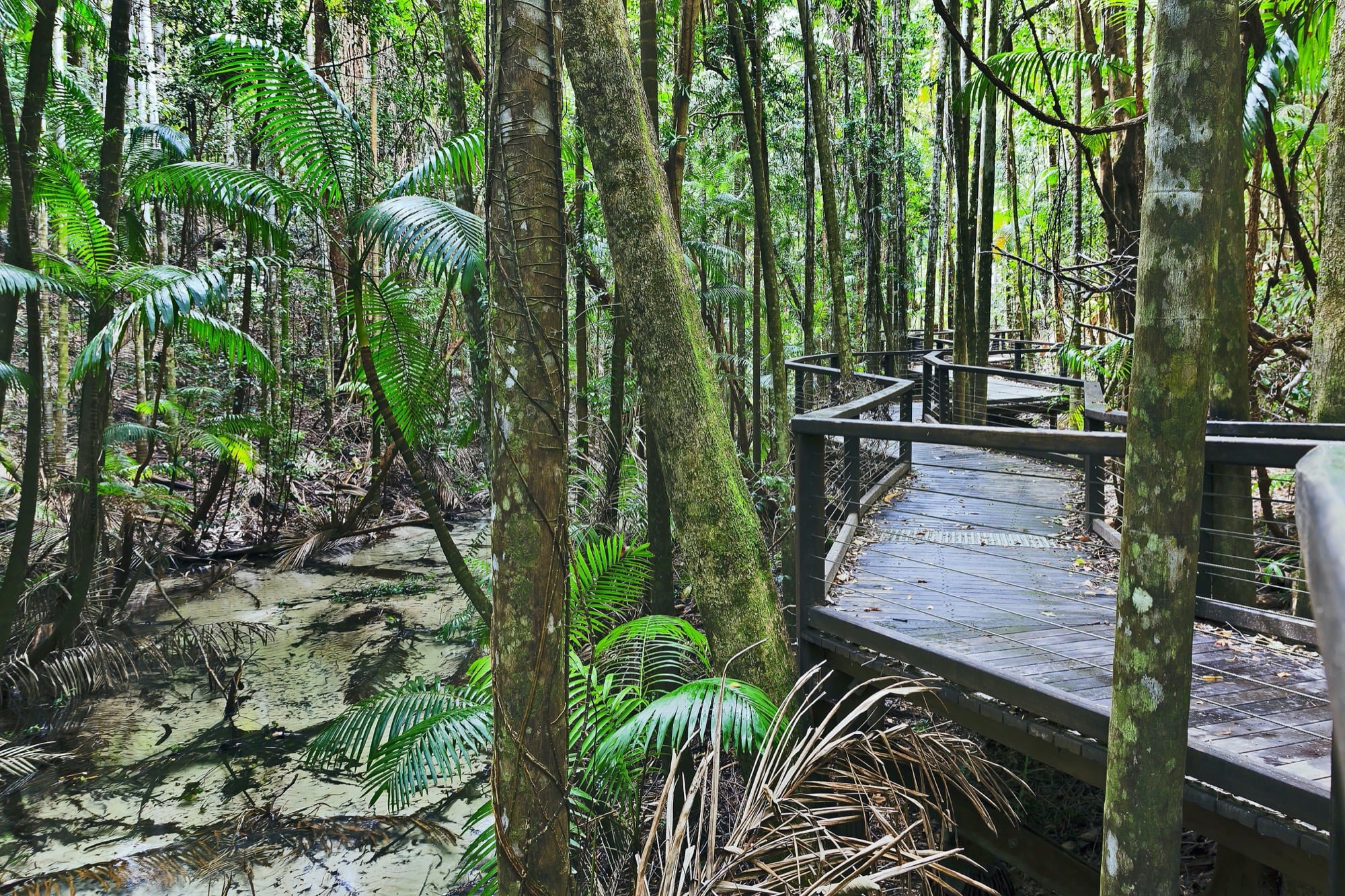 nature tours fraser island