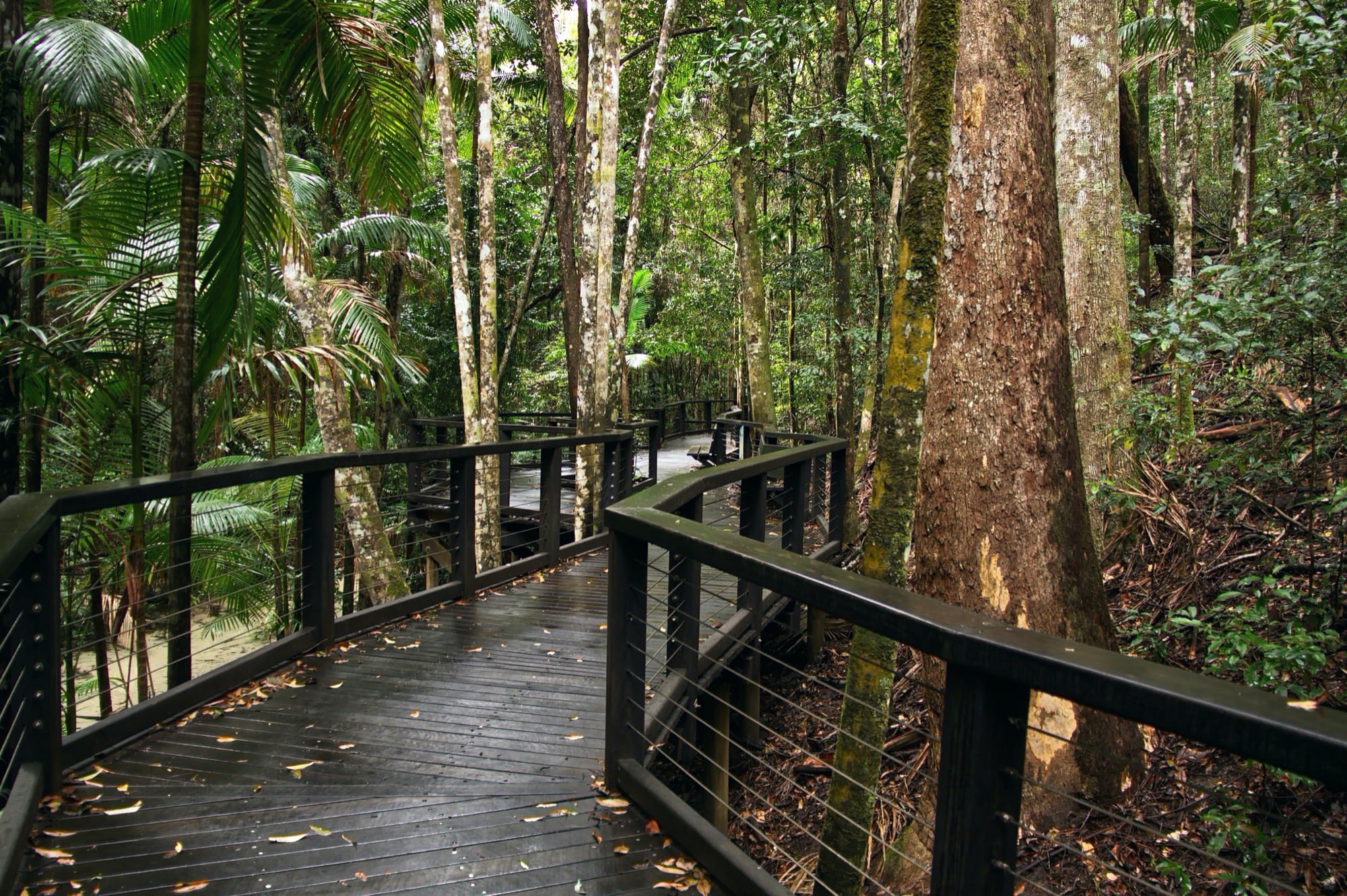 nature tours fraser island